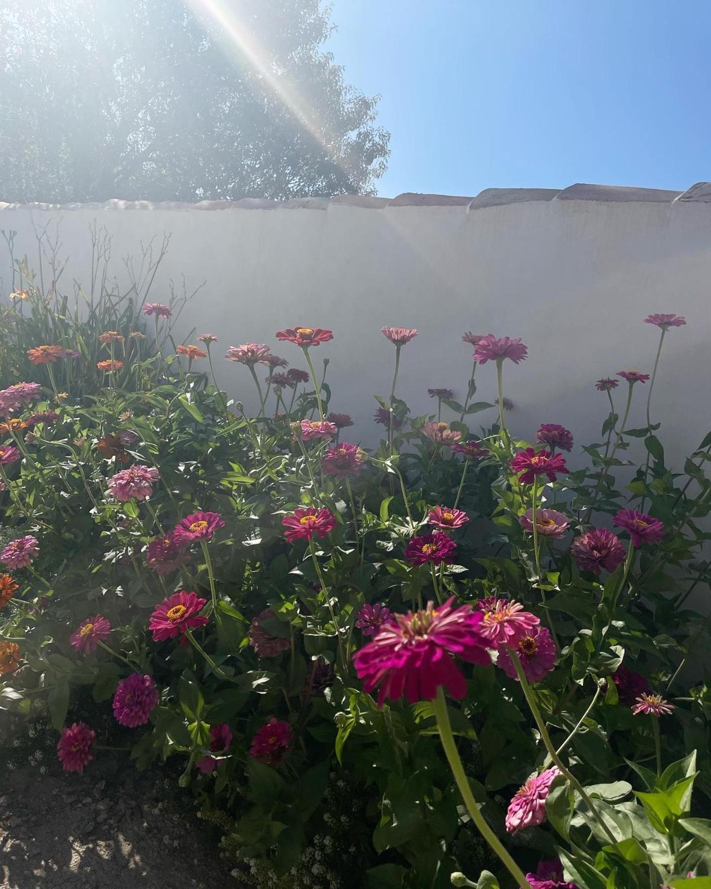 Cortijo El Prado L Villa Castril Buitenkant foto